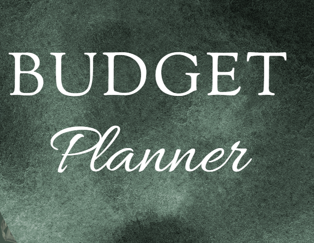 Editable Digital Budget Planner Template